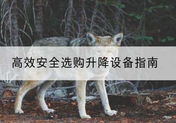 微山升降货梯厂家推荐-*安全选购升降设备指南
