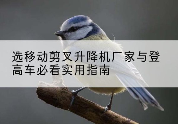 微山电动升降机厂家-选移动剪叉升降机厂家与登高车必看实用指南