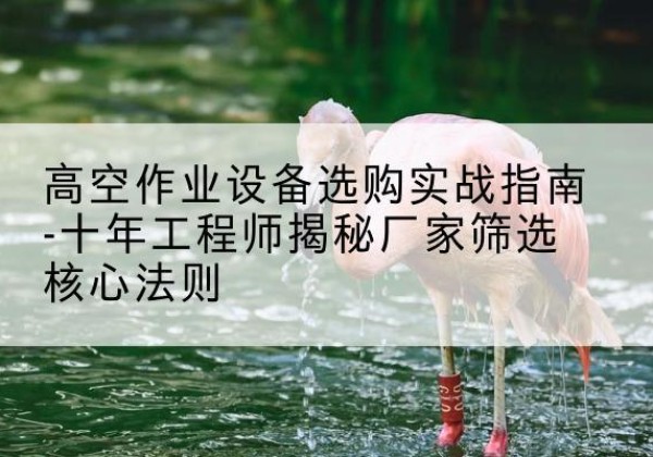 微山剪叉式升降机厂家-高空作业设备选购实战指南-十年工程师揭秘厂家筛选核心法则
