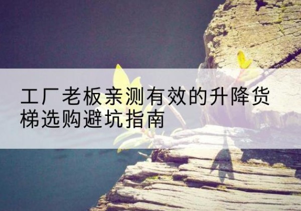 微山升降货梯怎么选-工厂老板亲测有效的升降货梯选购避坑指南